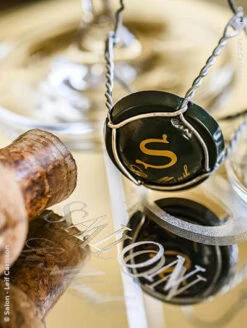 Salon 2008 Magnum (1,5l)